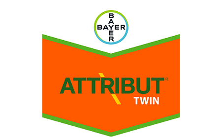 Attribut twin